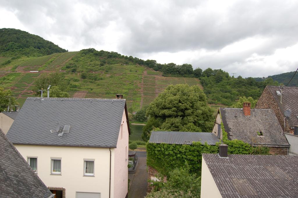 Ferienhaus Mosel Bub Bruttig-Fankel Cameră foto