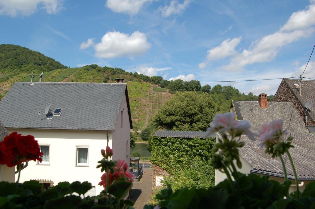 Ferienhaus Mosel Bub Bruttig-Fankel Cameră foto