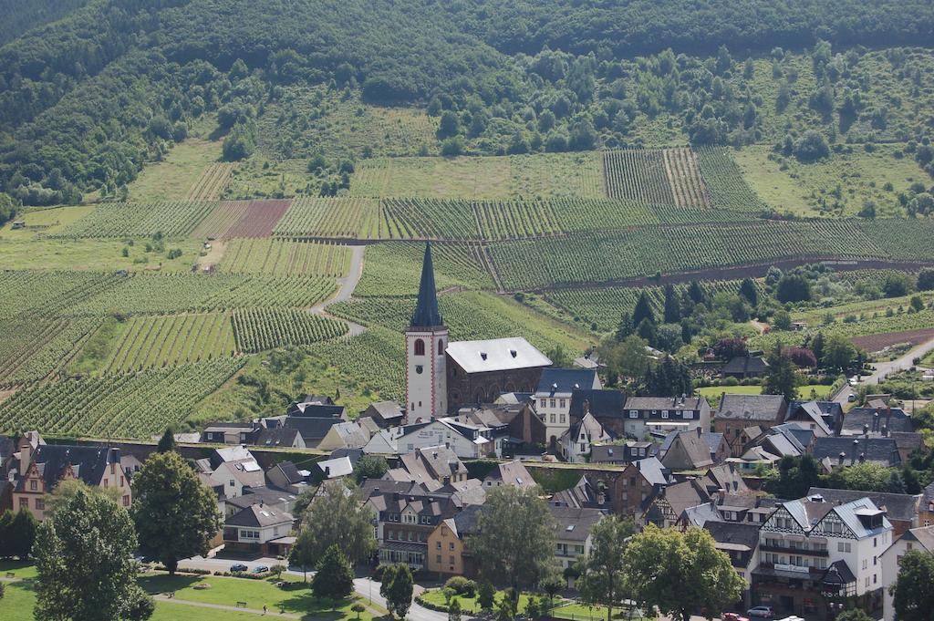 Ferienhaus Mosel Bub Bruttig-Fankel Cameră foto