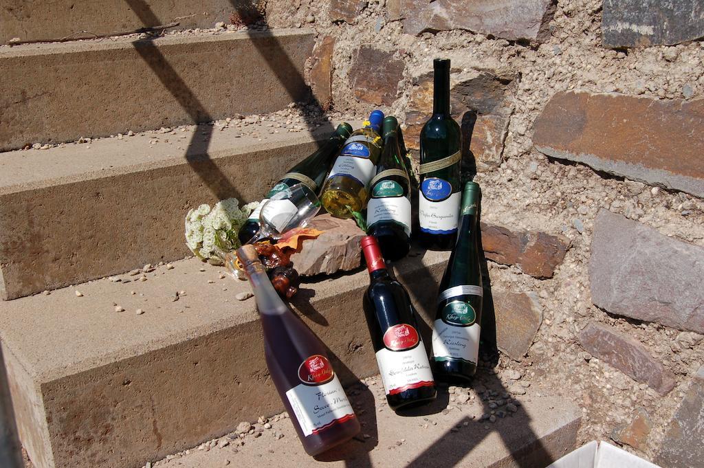 Ferienhaus Mosel Bub Bruttig-Fankel Cameră foto